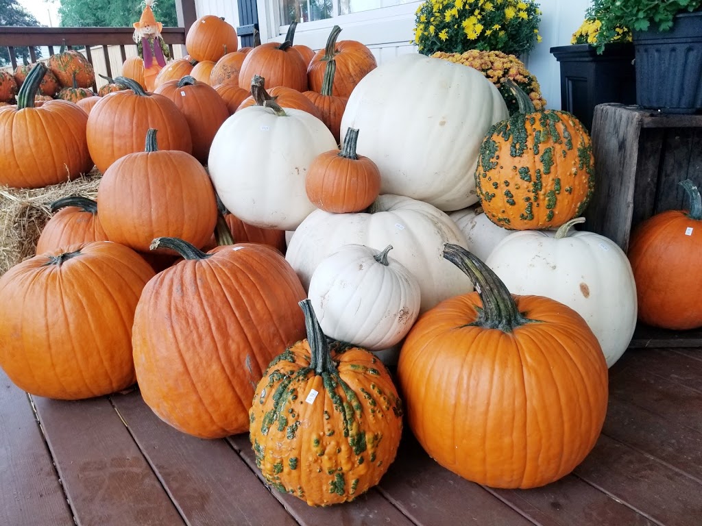 Lincoln Line Orchards | 9764 RR 20, Smithville, ON L0R 2A0, Canada | Phone: (905) 643-2205