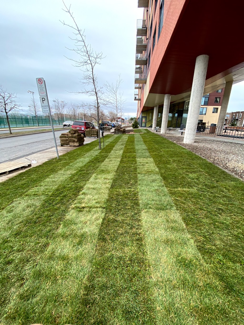 Jardins Verdana - Déneigement et Aménagement Paysager Montréal | 7980 Rue de Marseille, Montréal, QC H1N 1L9, Canada | Phone: (514) 464-5888