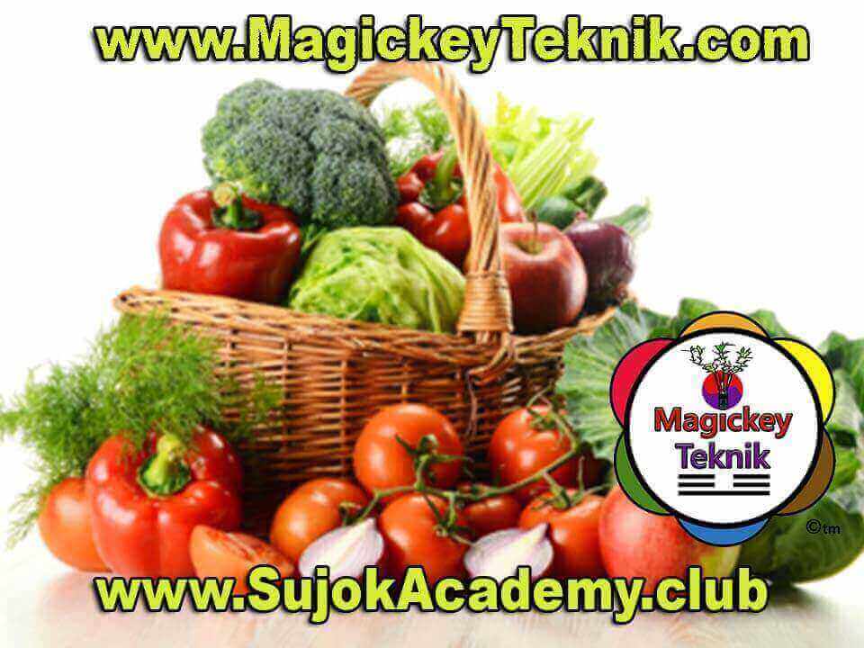 SU JOK Academy of Canada / Académie de SU JOK du Canada | 5919 84 Ave SE, Calgary, AB T2C 4S1, Canada | Phone: (514) 800-8693
