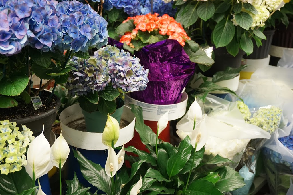 St Clair Flowers | 2781 St Clair Ave E, East York, ON M4B 1N1, Canada | Phone: (647) 348-3389