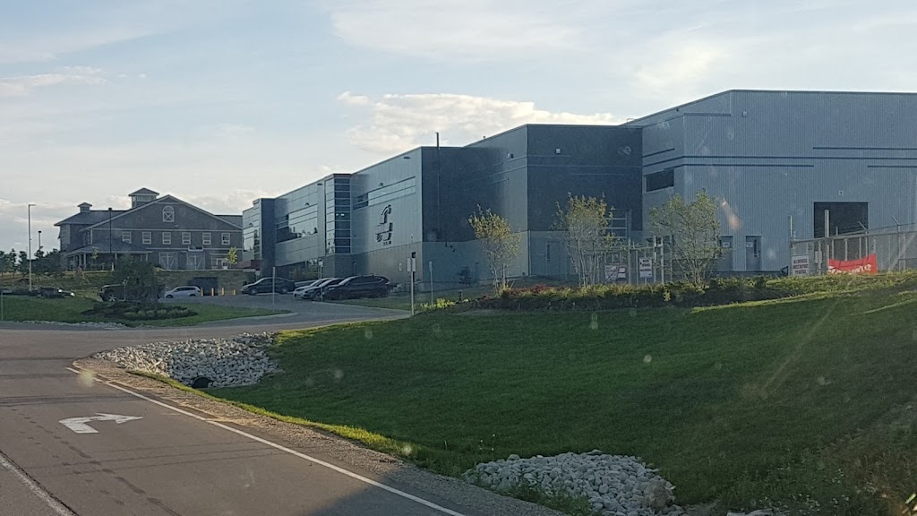 Tire Discounter Group | 65379 Dufferin County Rd 3, East Garafraxa, ON L9W 7J8, Canada | Phone: (519) 941-4136