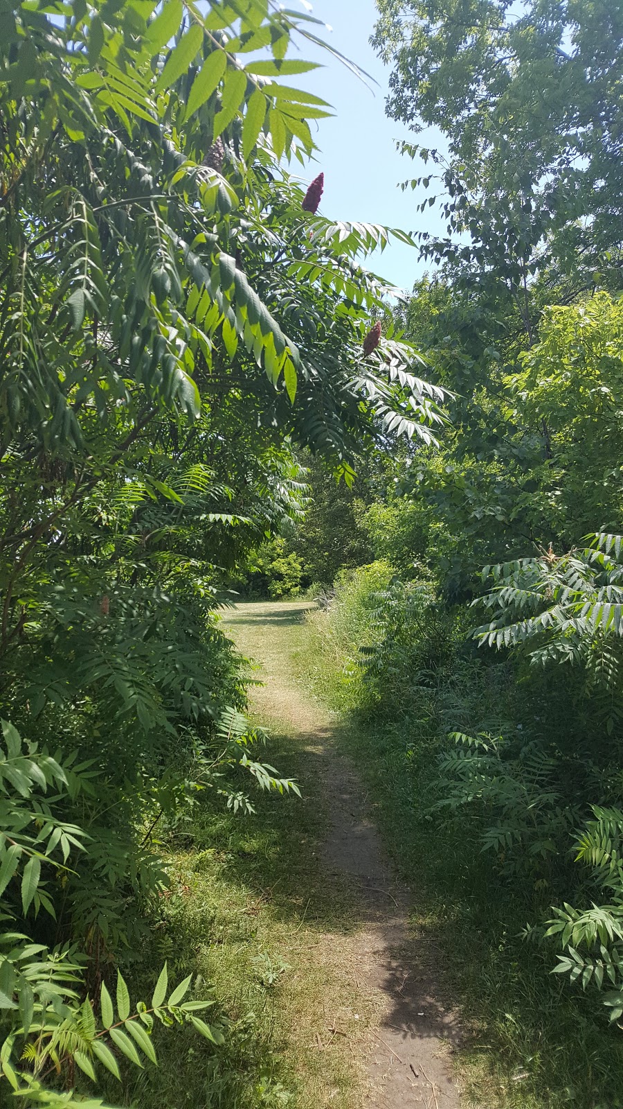 Scarborough Heights Park | 27 Fishleigh Dr, Scarborough, ON M1N 3K3, Canada | Phone: (416) 338-4386