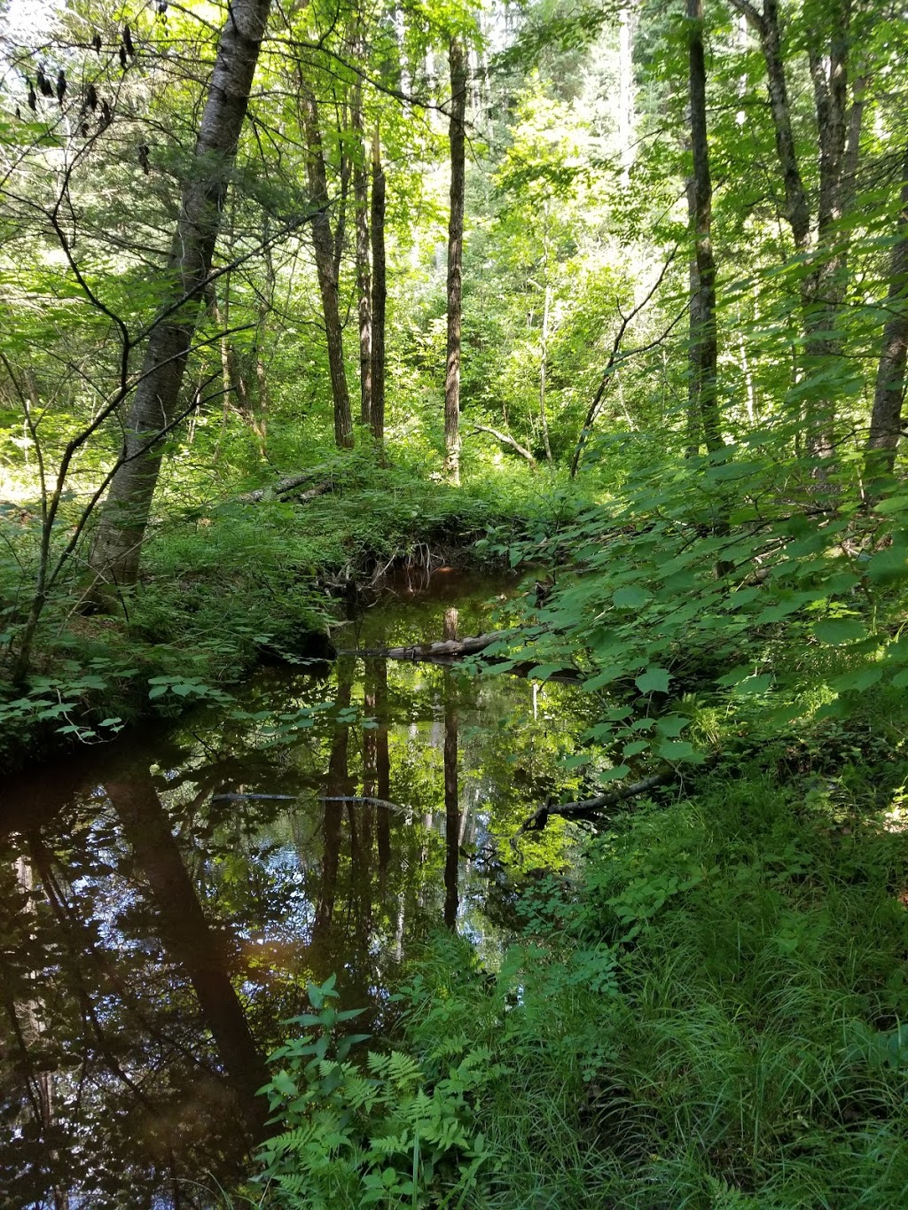 Domaine Naturiste Le Cypres | 708 Route de la Chute du Huit, Notre-Dame-de-Montauban, QC G0X 1W0, Canada | Phone: (418) 336-2573