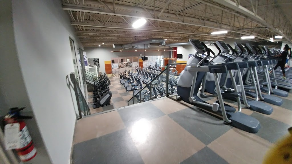 Physiomed Brampton - Kings Cross | 25 Kings Cross Rd, Brampton, ON L6T 3V5, Canada | Phone: (905) 595-1537