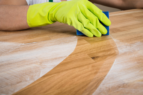 Master Maid - North York | 109 Fontainbleau Dr, North York, ON M3M 1P1, Canada | Phone: (647) 888-8441