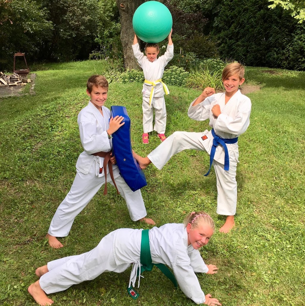 Karate Budo Kébek | 940 Avenue Simard, Chambly, QC J3L 4X2, Canada | Phone: (450) 658-9474