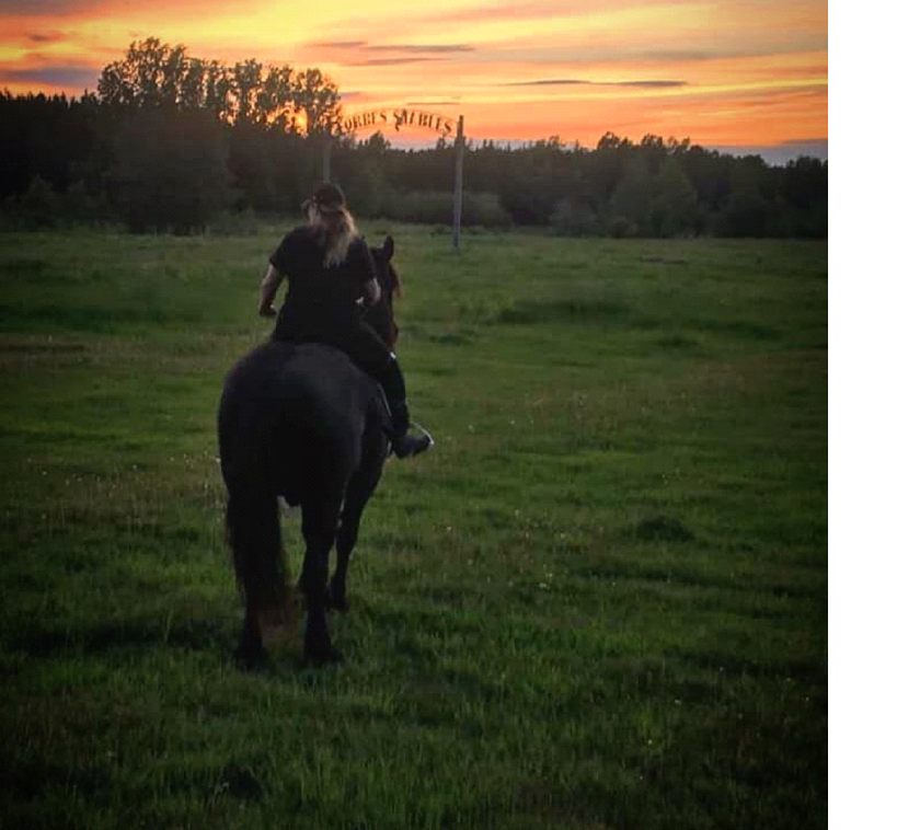Greener Pastures Equine Programs | 2685 B Line Rd, Pembroke, ON K8A 6W8, Canada | Phone: (613) 687-7096