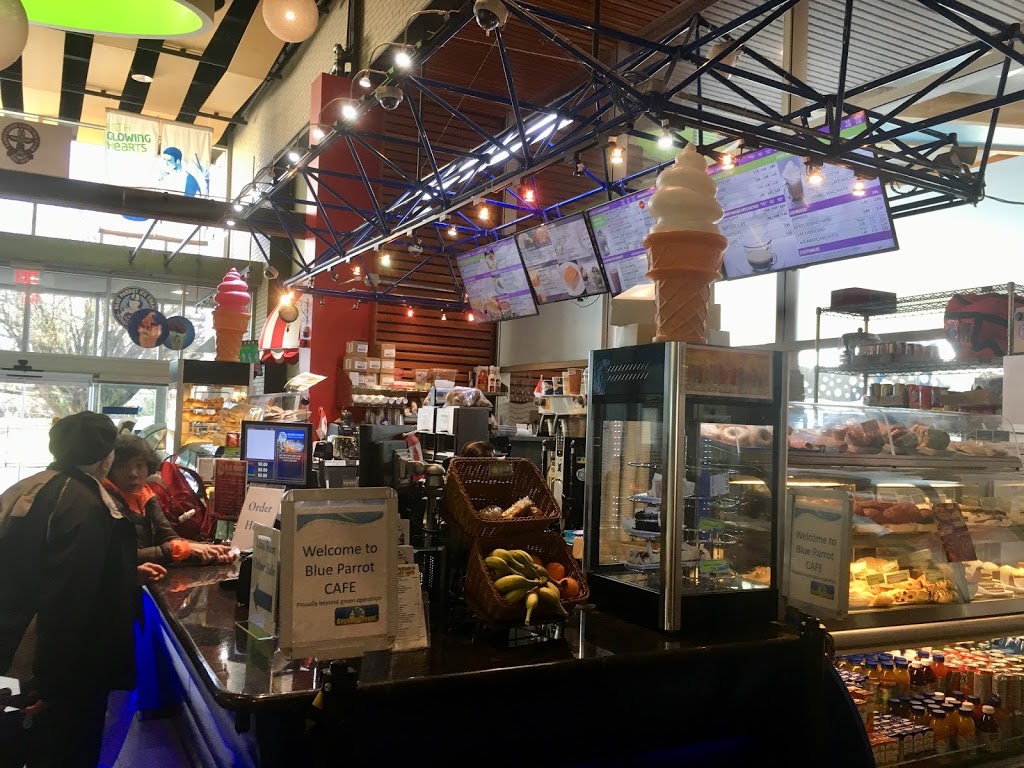 Blue Parrot Coffee | Hillcrest Centre, 4575 Clancy Loranger Way, Vancouver, BC V5Y 2M4, Canada | Phone: (604) 879-3301