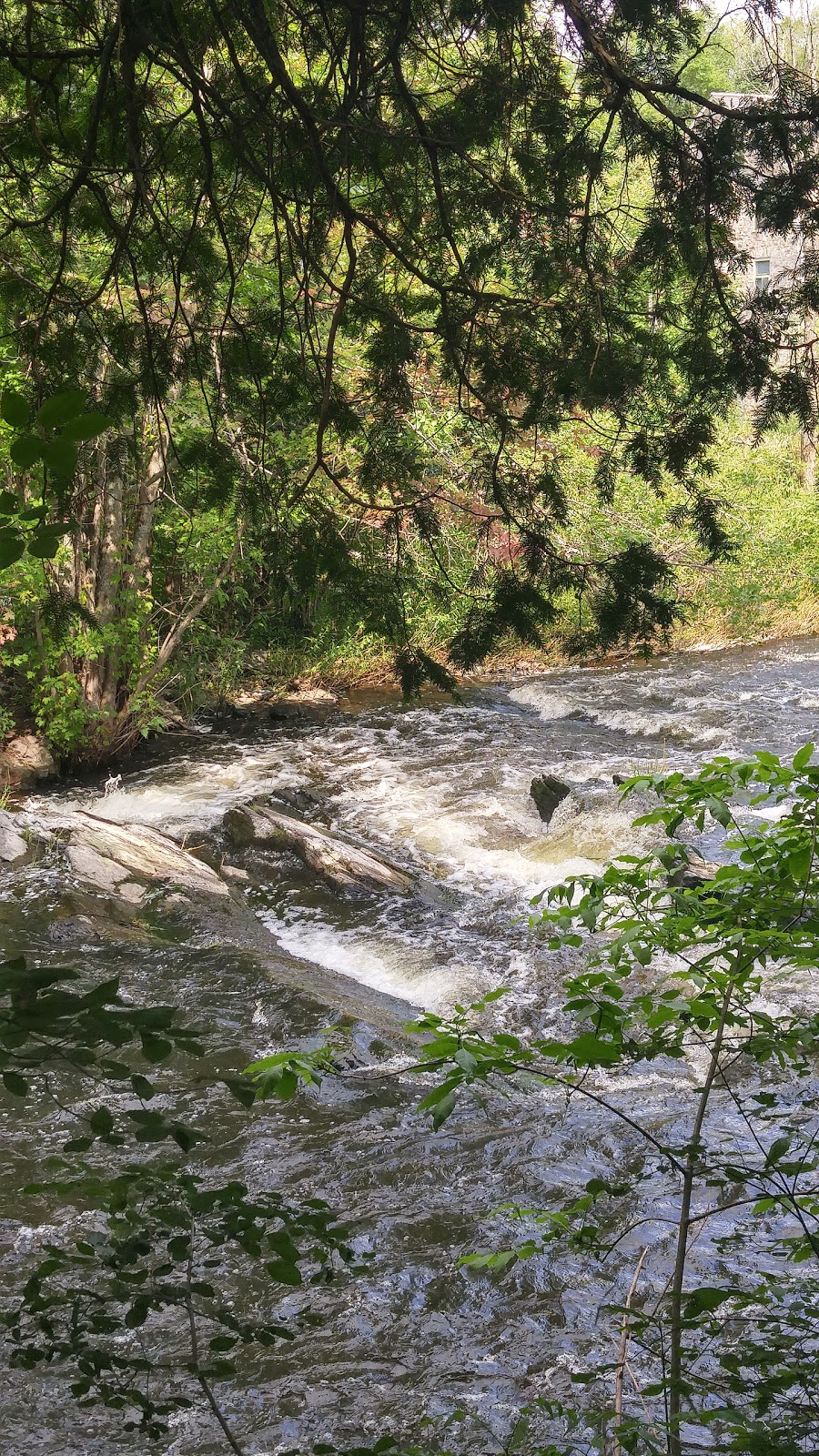 Mill of Kintail Conservation Area | 2854 Ramsay Concession 8, Almonte, ON K0A 1A0, Canada | Phone: (613) 256-3610