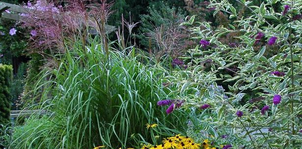 Tanglebank Gardens Brambles Bistro | 29985 Downes Rd, Abbotsford, BC V4X 1Z8, Canada | Phone: (604) 856-9339