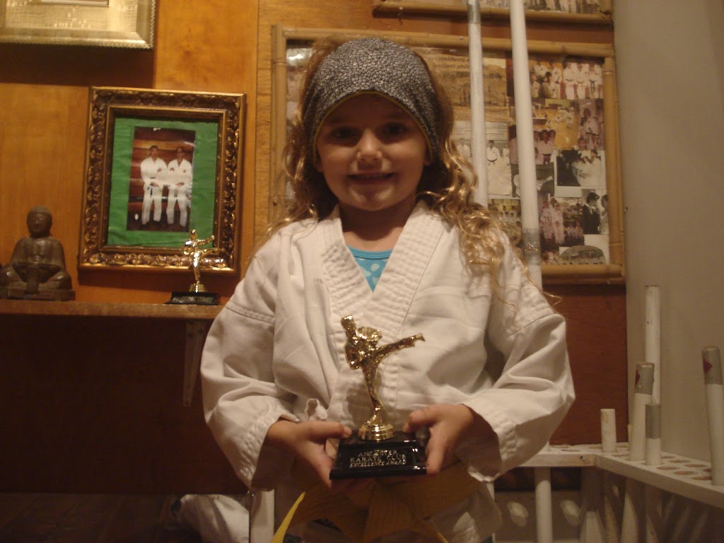 Ancaster Karate Club | 1271 Filman Rd, Hamilton, ON L8S 4K2, Canada | Phone: (905) 529-9477