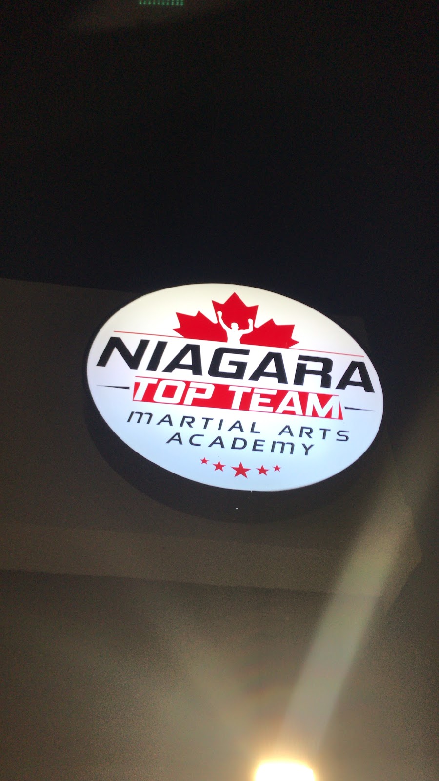 Niagara Top Team | 491 Merritt St, St. Catharines, ON L2P 1P2, Canada | Phone: (519) 829-8717