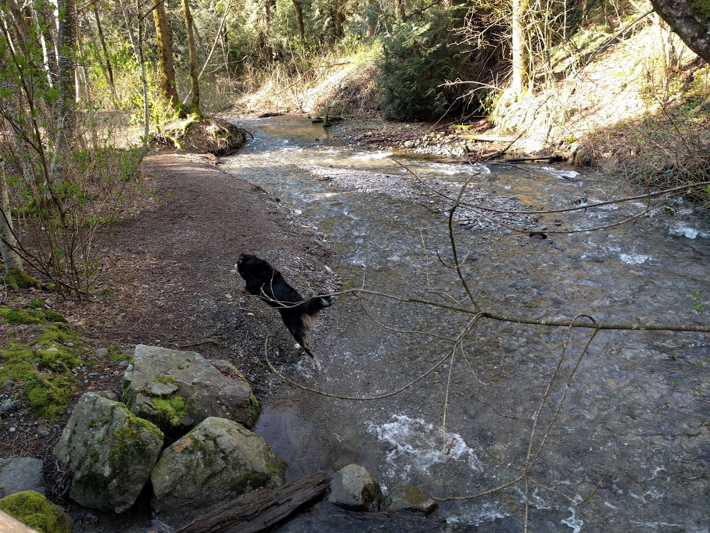 Stoney Creek Park | Latimer St, Abbotsford, BC V2S 7J8, Canada | Phone: (604) 853-2281