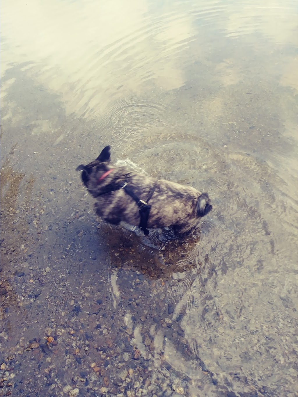 Jobs Pond Public Boat Launch | 05860, 2985 Newark Rd, West Burke, VT 05871, USA