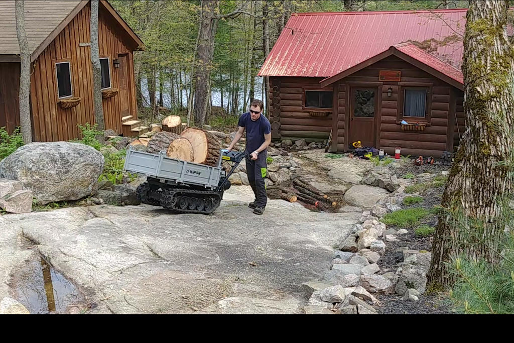 Ace Tree Service | Parry Sound Drive, Hwy 124, Parry Sound, ON P2A 2W7, Canada | Phone: (705) 746-3390