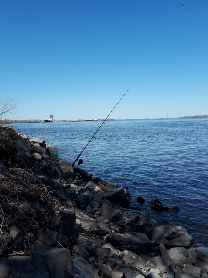 Park Capture-dEthan-Allen | 8500 Rue Bellerive, Montréal, QC H1L 5G5, Canada