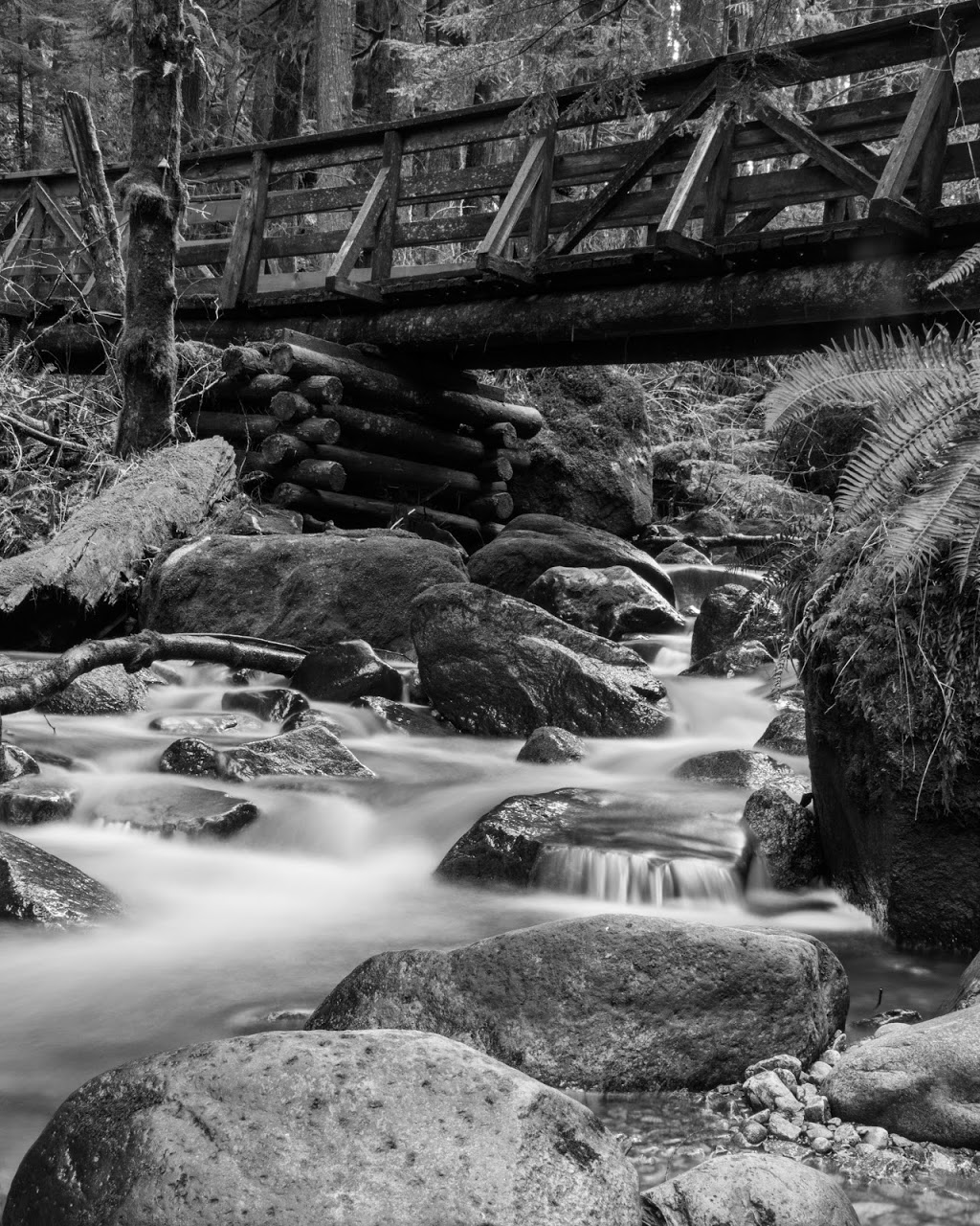 Hayward Lake Reservoir Trail. | 31170 Dewdney Trunk Rd, Mission, BC V4S 1C4, Canada