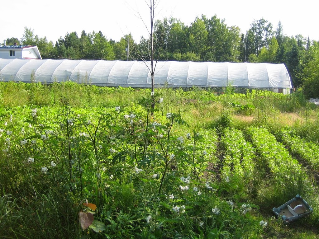 FERME DES LIBELLULES | 100 Chemin Forsight, Saint-Didace, QC J0K 2G0, Canada | Phone: (450) 803-8500
