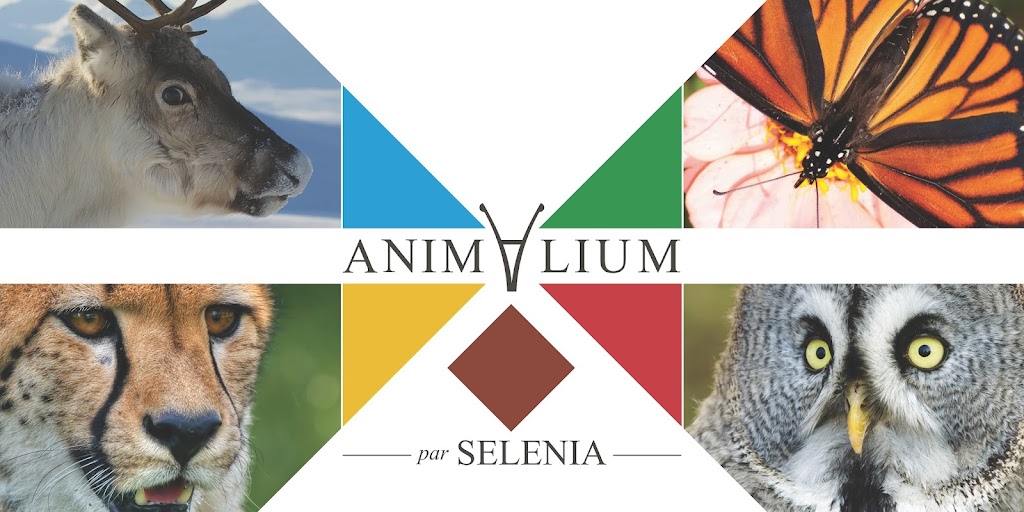 Animalium par Selenia - Musée - Museum | 95 Chem. Napoléon, Mont-Tremblant, QC J8E 2G5, Canada | Phone: (819) 717-3913