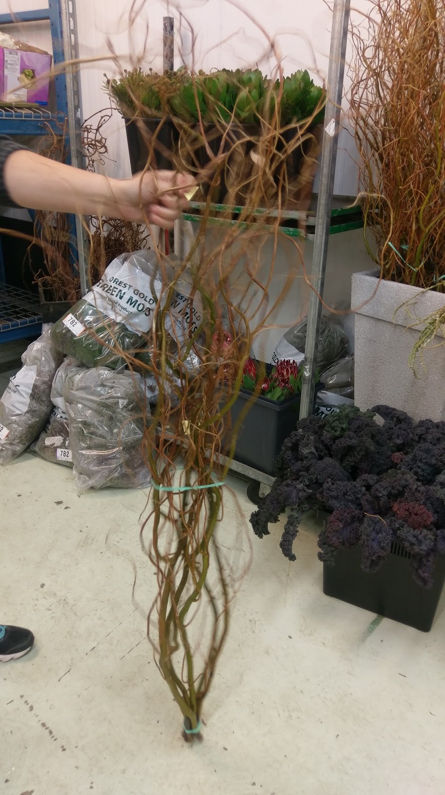 Florists Supply Ltd | Roseberry Square, 3979 Marine Way unit 5, Burnaby, BC V5J 5E3, Canada | Phone: (604) 630-4688