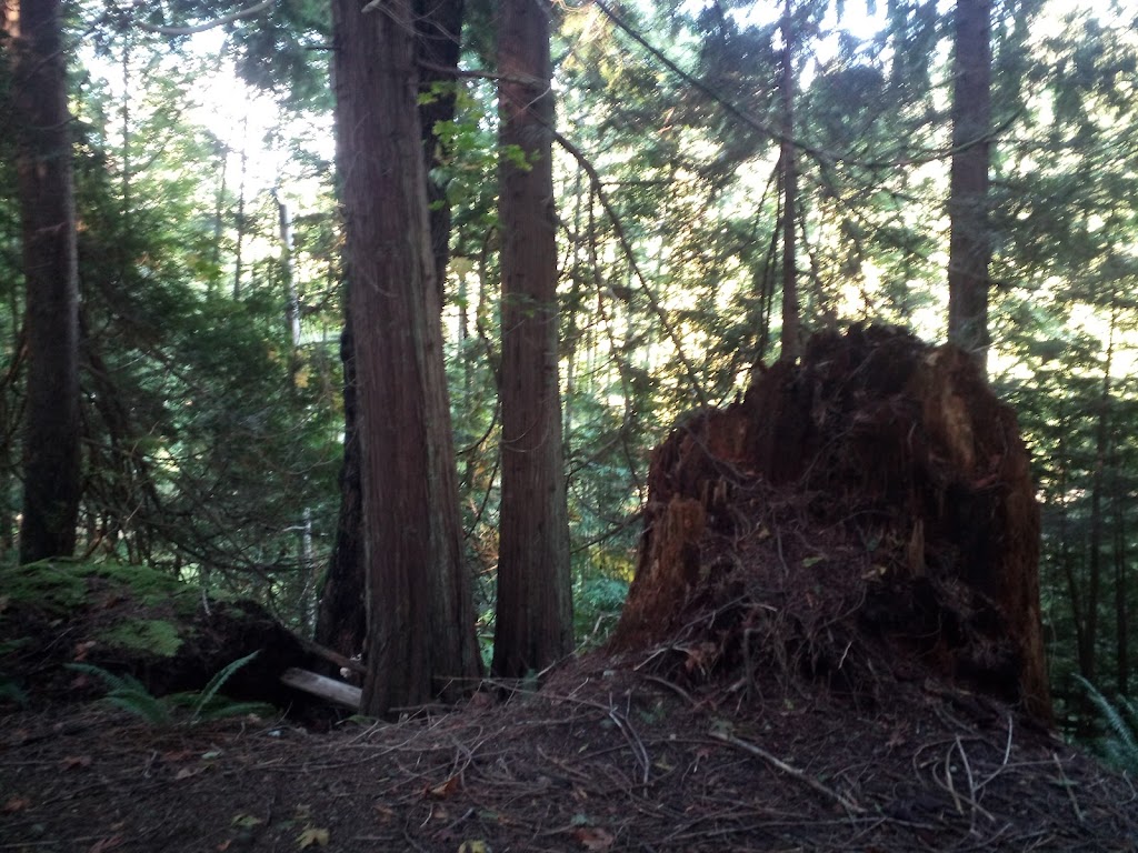 Xenia Labyrinth | 1401 Fernie Rd, Bowen Island, BC V0N 1G2, Canada | Phone: (604) 947-9816