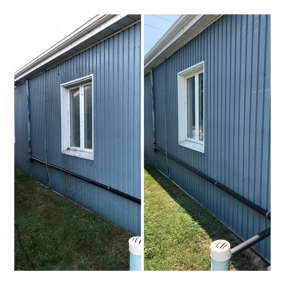 Will~Shine DuzzIt~All | 24 Marshwoods Blvd, Kingsville, ON N9Y 0A7, Canada | Phone: (519) 819-4806