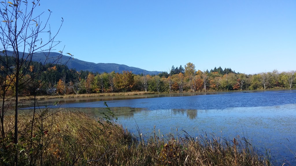 Buttertubs Marsh Park | 197 Bird Sanctuary Dr, Nanaimo, BC V9R 6G8, Canada | Phone: (250) 754-4251