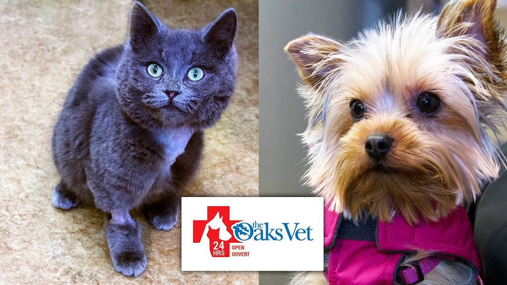The Oaks Veterinary Medical & Referral Centre | 565 Mapleton Rd, Moncton, NB E1G 2K5, Canada | Phone: (506) 854-6257