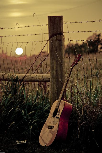 Whitehart Guitar Studio | 989 Shaw Ave, Victoria, BC V9B 5Z4, Canada | Phone: (250) 360-1465