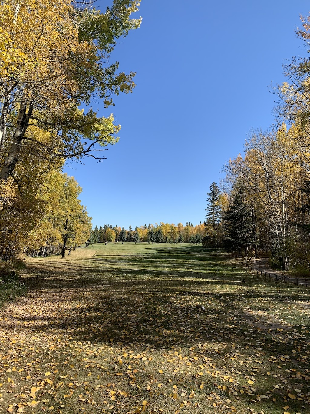 Pigeon Lake Golf Club and RV Park | 5401 Lake Dr, Mulhurst, AB T0C 2C0, Canada | Phone: (780) 312-9142