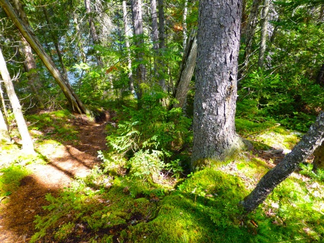 Aire Nature Grandes-Piles - Camping Lac Clair | Chemin du Lac des Îles, Grandes-Piles, QC G0X 2E0, Canada | Phone: (819) 809-2535