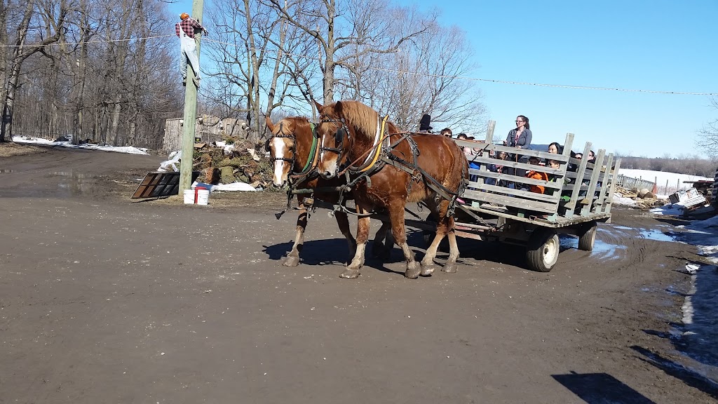 Proulx Sugar Bush & Berry Farm | 1865 OToole Rd, Cumberland, ON K4C 1N2, Canada | Phone: (613) 833-2417