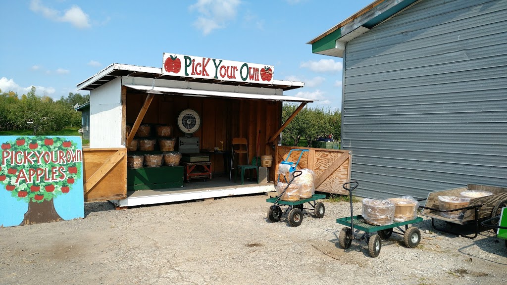 Halls Apple Market | 2930 Concession 2 Rd, Brockville, ON K6V 5T1, Canada | Phone: (613) 342-6320