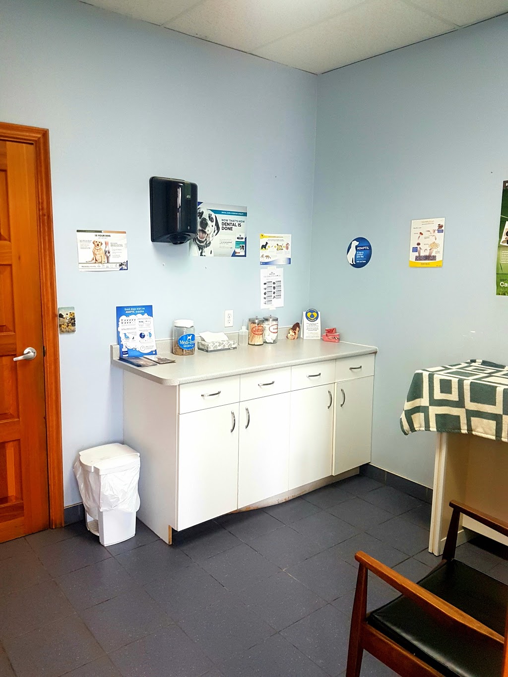 Newmarket Animal Hospital | 340 Eagle St W, Newmarket, ON L3Y 7M9, Canada | Phone: (905) 895-2512