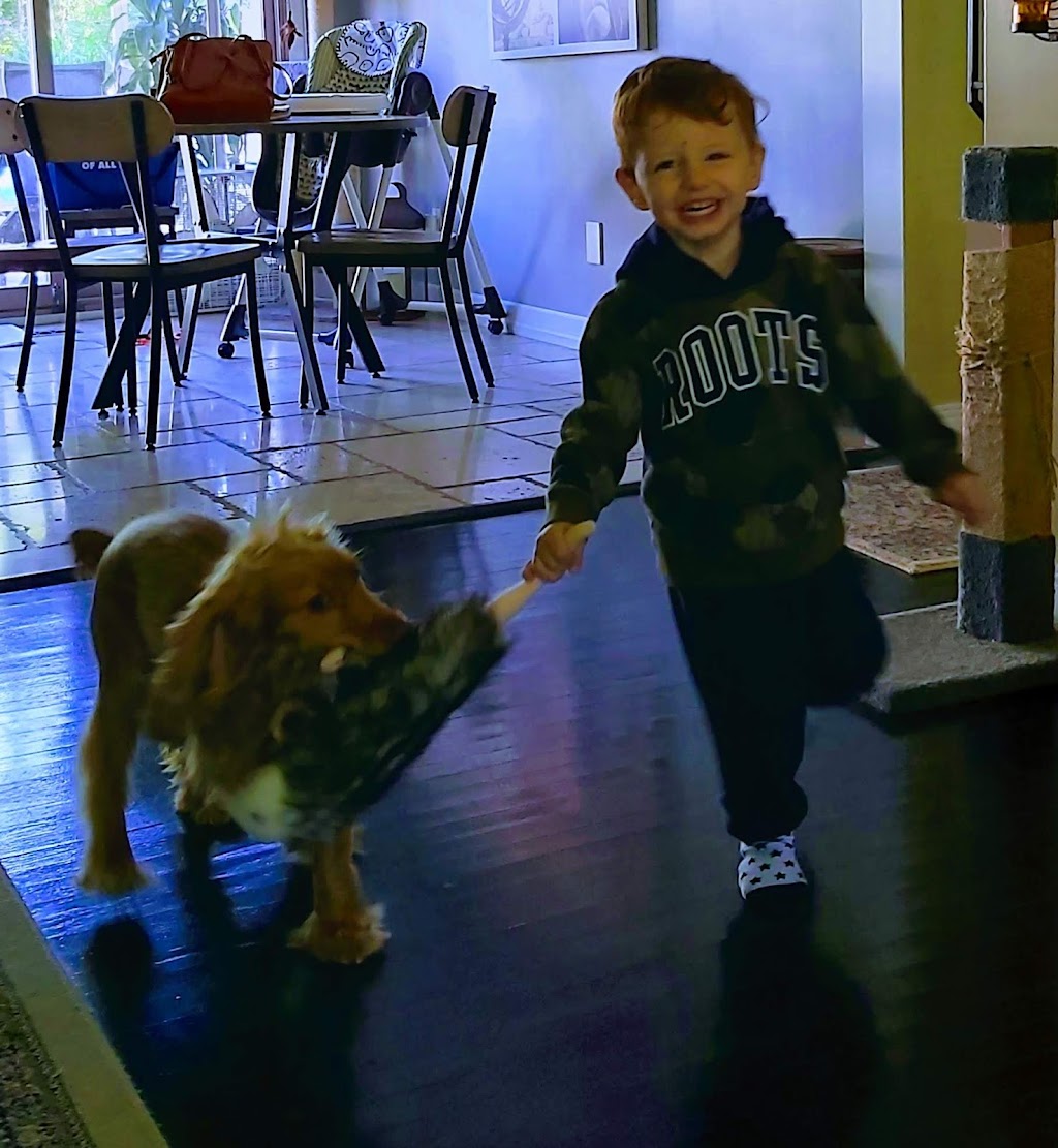 Dog Grrrl Canada | 70 Roc Rd, Tiny, ON L0L 2J0, Canada | Phone: (705) 302-8033