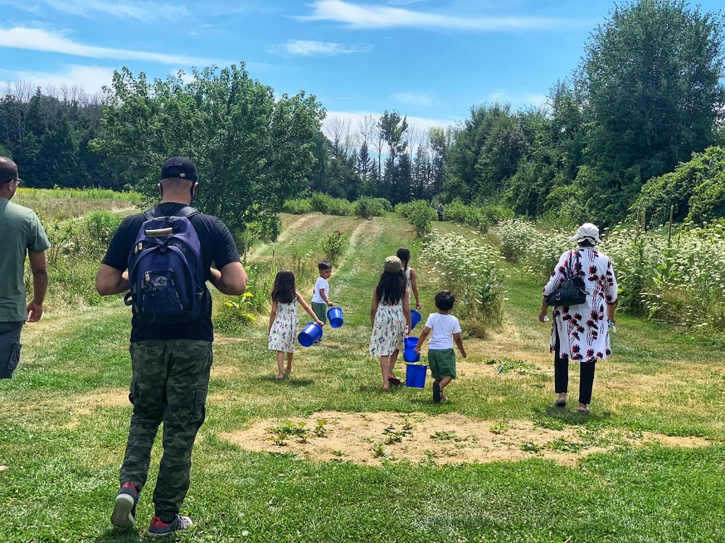 Meanwhile Blueberry Farm | 2779 Herald Rd, Sharon, ON L0G 1V0, Canada | Phone: (905) 392-7644