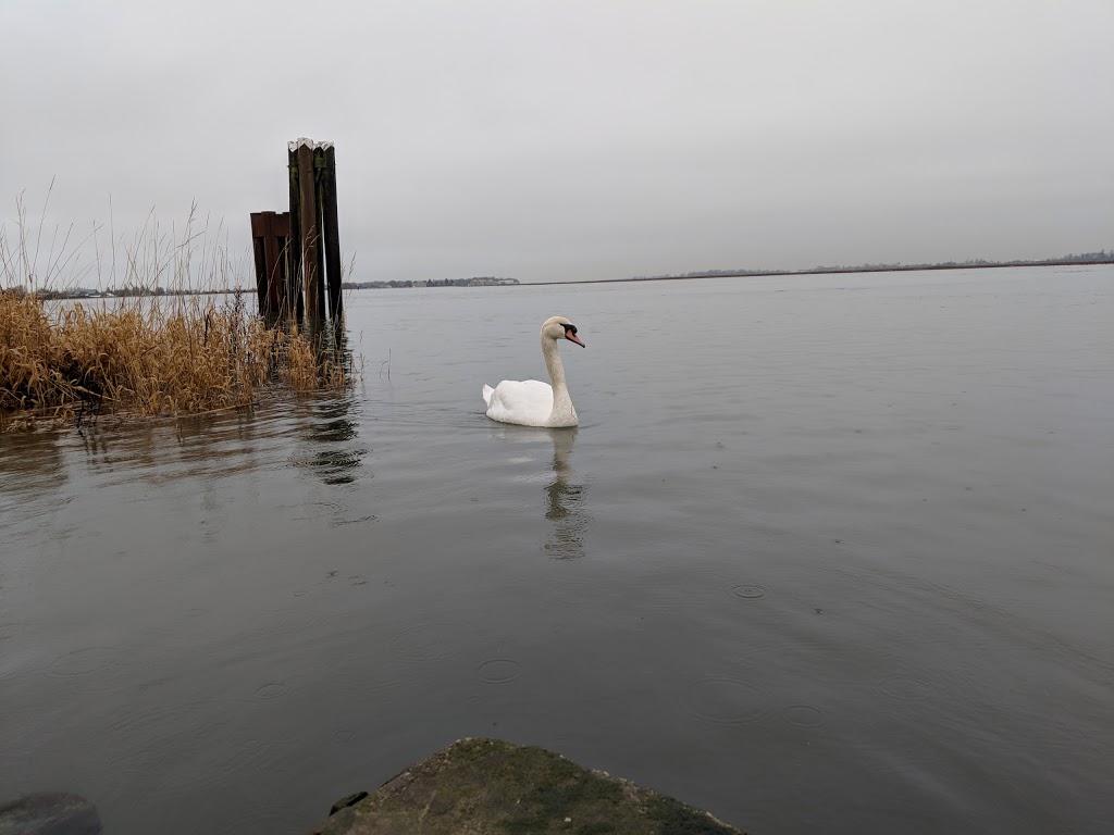 Wellington Point Park | 3653 River Rd W, Delta, BC V4K 3N2, Canada