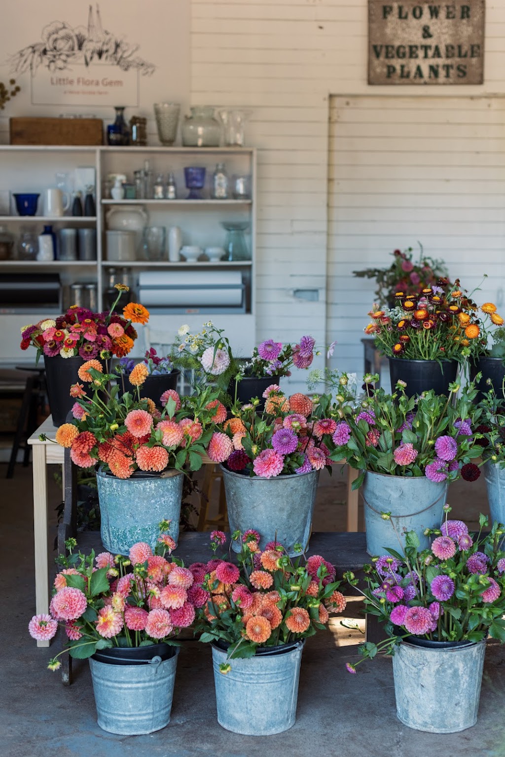 Little Flora Gem | 264 Canard St, Port Williams, NS B0P 1T0, Canada | Phone: (902) 300-6682
