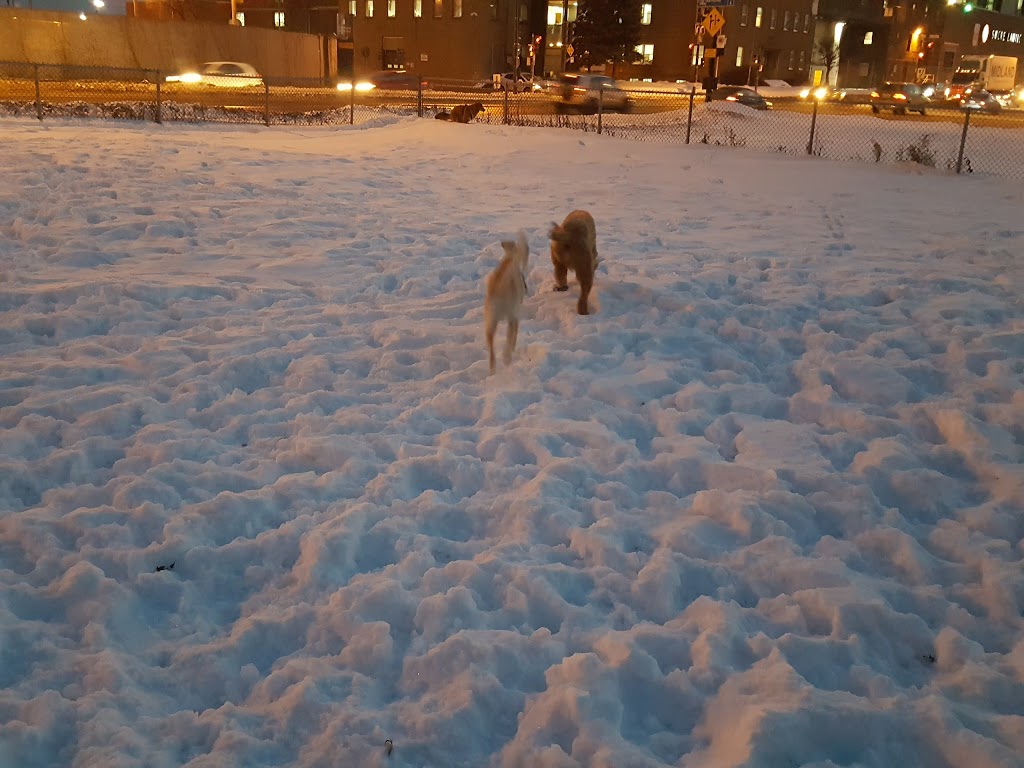 Parc Wolfred-Nelson | 4100 Rue Notre-Dame Est, Montréal, QC H1V 3T5, Canada