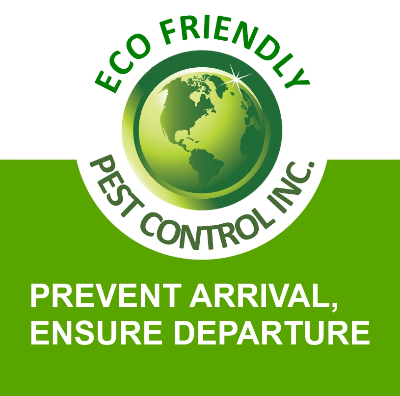 Eco-Friendly Pest Control Inc | 64 Parkview Heights, Trenton, ON K8V 6P5, Canada | Phone: (647) 525-6311