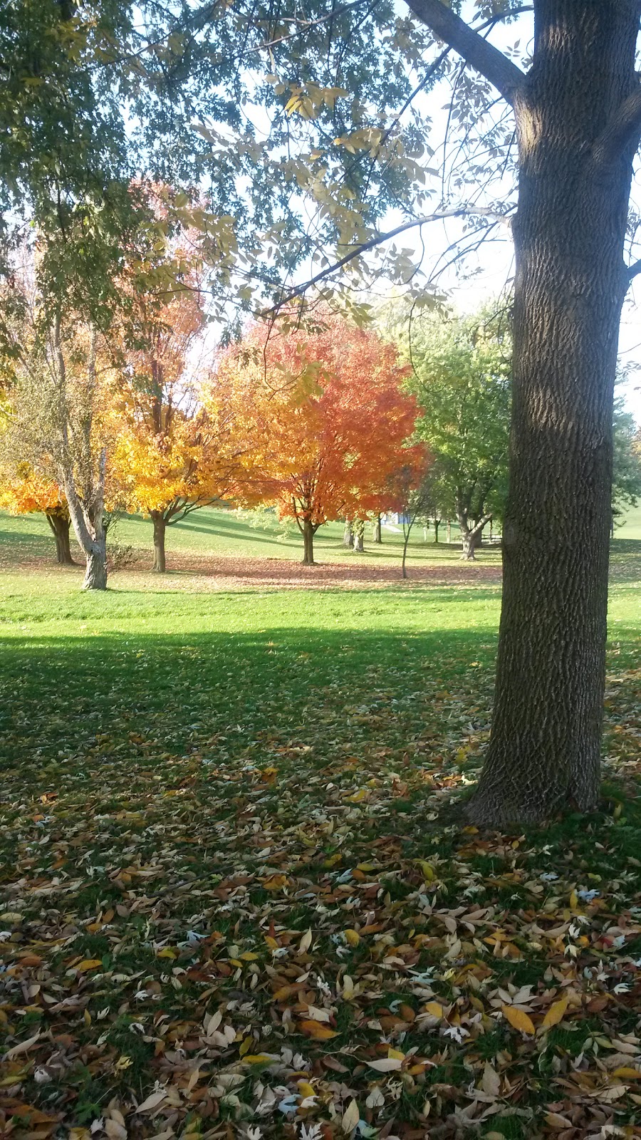 Tottenham Conservation Area | 6787 4th Line, Tottenham, ON L0G 1W0, Canada | Phone: (905) 729-1260