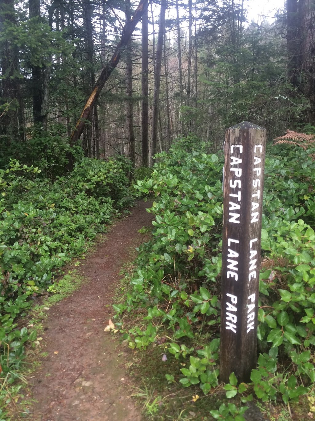 Capstan Lane Park | Pender Island, BC V0N 2M2, Canada