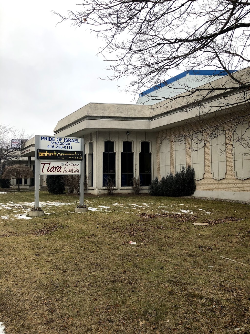 Pride of Israel | 59 Lissom Crescent, North York, ON M2R 2P2, Canada | Phone: (416) 226-0111