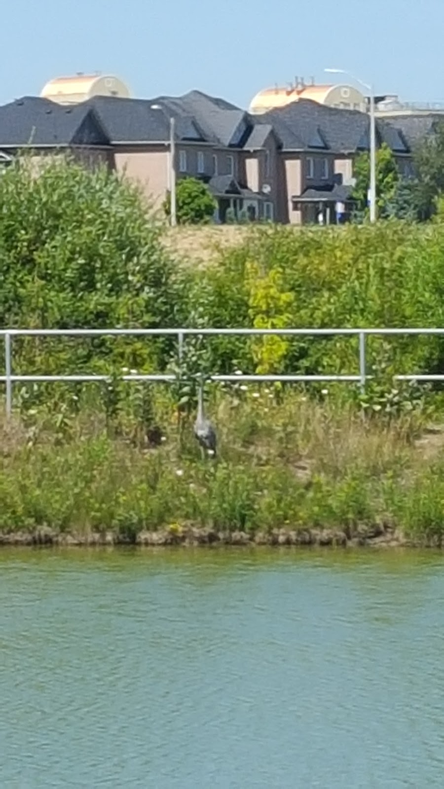 Debonair Parkette | Richmond Hill, ON L4C, Canada