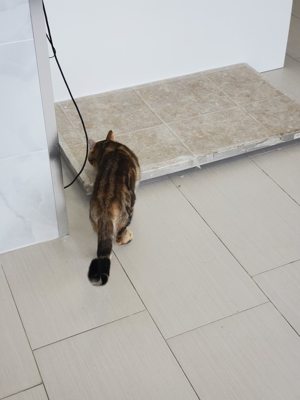 Kim Pet Hospital | 8362 Woodbine Ave, Markham, ON L3R 2N8, Canada | Phone: (905) 604-3105