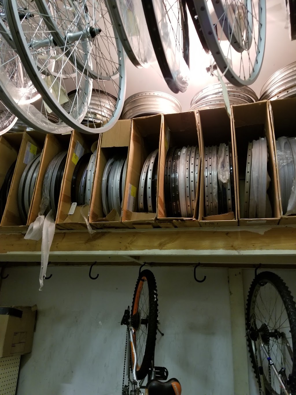 Steves Place Bicycles & Repair | 181 Niagara Blvd, Fort Erie, ON L2A 3G7, Canada | Phone: (905) 871-7517