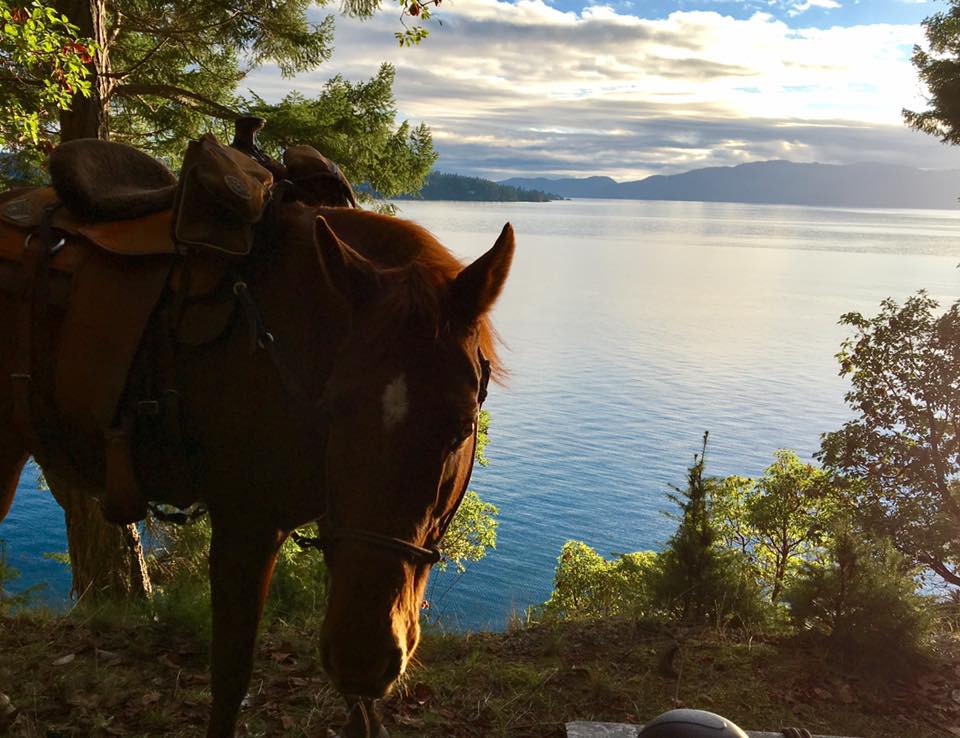 Gulf Islands Horse Association | 113 Village Terrace, Salt Spring Island, BC V8K 2V2, Canada | Phone: (250) 537-2018