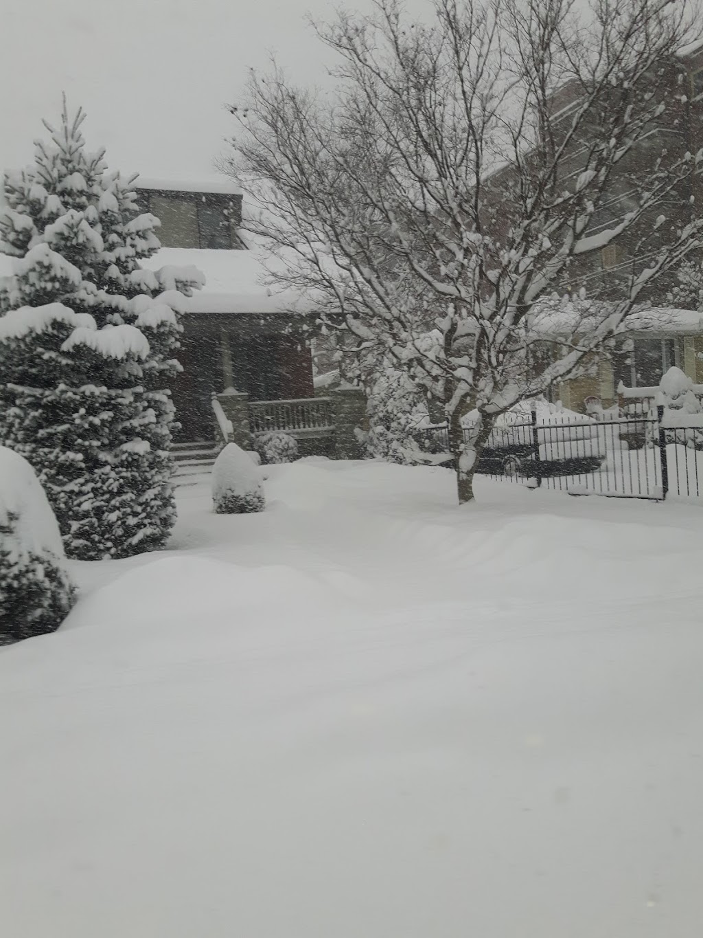 Michael G Wilmot - Canadian Playwright | 137 Devonshire Ave, London, ON N6C 2H9, Canada | Phone: (519) 932-0342