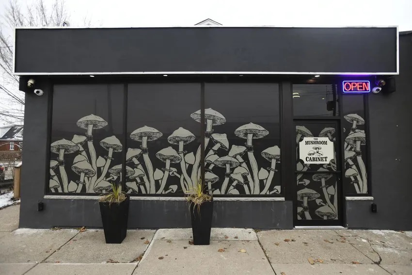 The Mushroom Cabinet | 1459 Main St E, Hamilton, ON L8K 1C5, Canada | Phone: (289) 556-4985