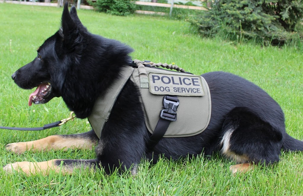K9 Design Tactical | 4395 Goodison Rd, Kelowna, BC V1W 4C6, Canada | Phone: (250) 826-3775